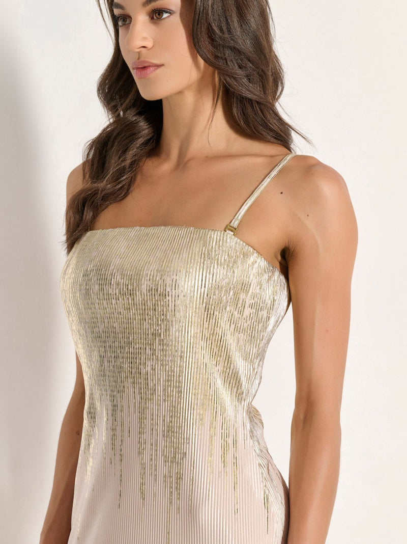 ELLERY μάξι φόρεμα