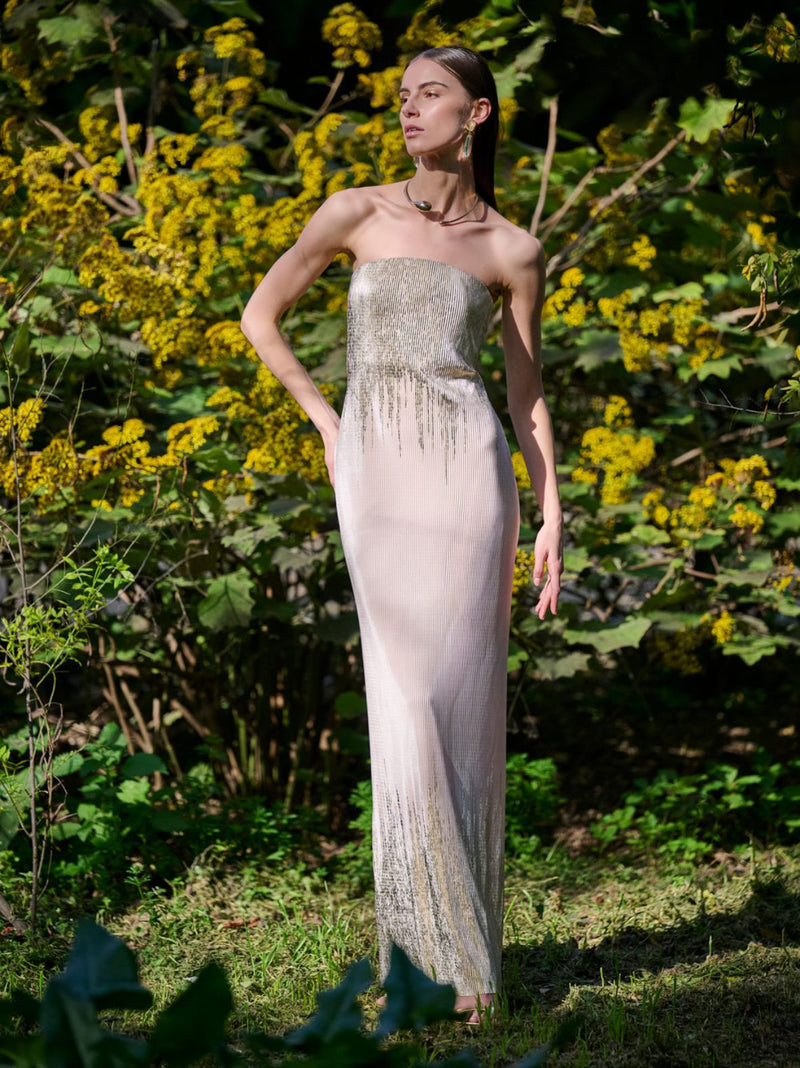 ELLERY μάξι φόρεμα