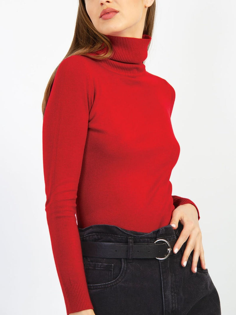 ELIZA turtle neck basic knit - EXTRA COLORS